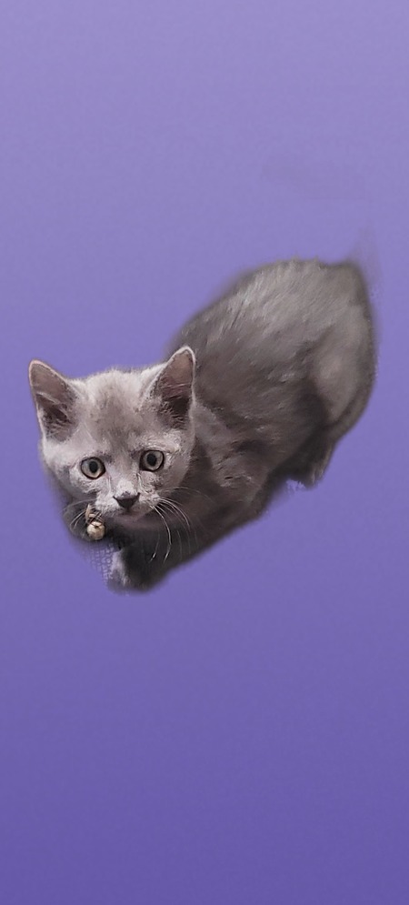 Queen Smokey
