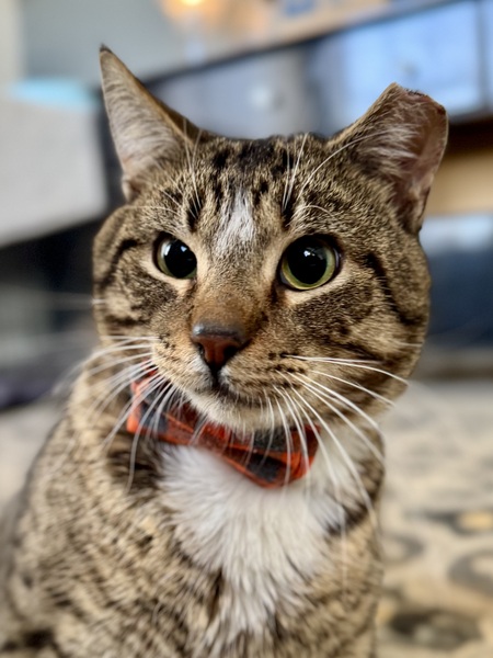 Winston