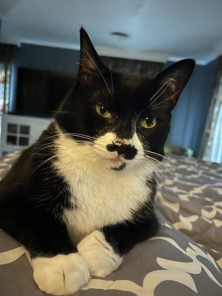 Dexter