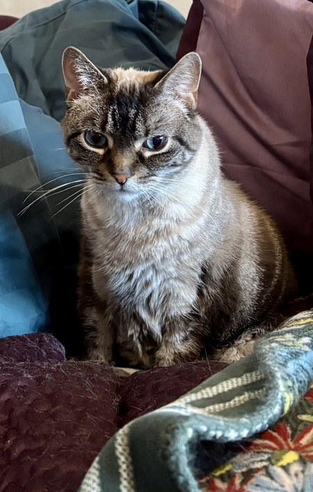 Leela