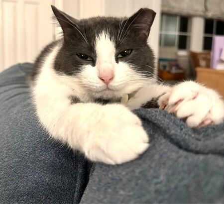 Thimble