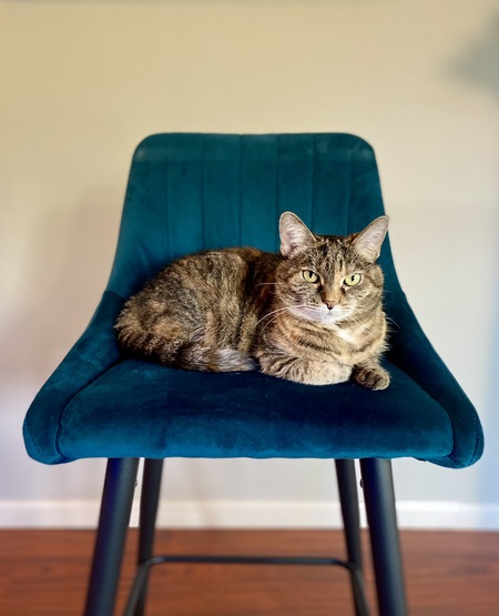 Mimi