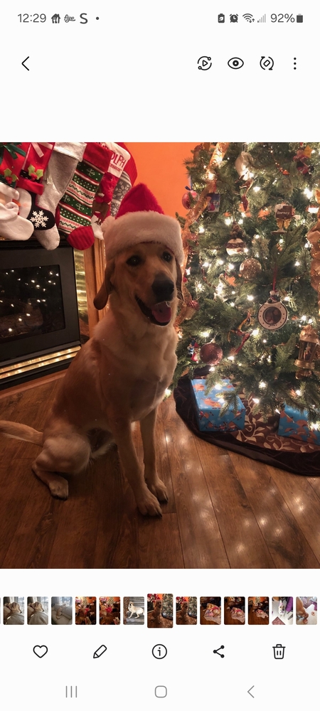 Chloe
