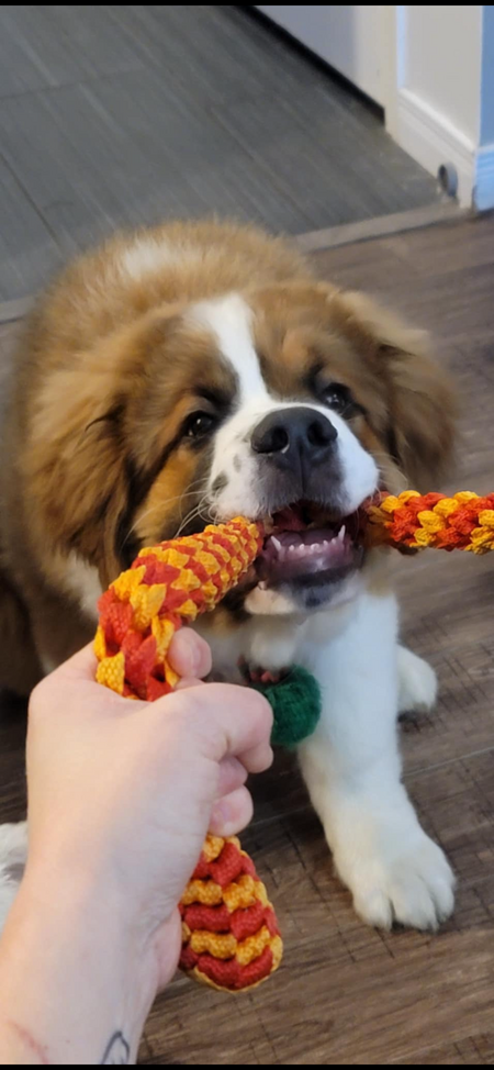 Benny