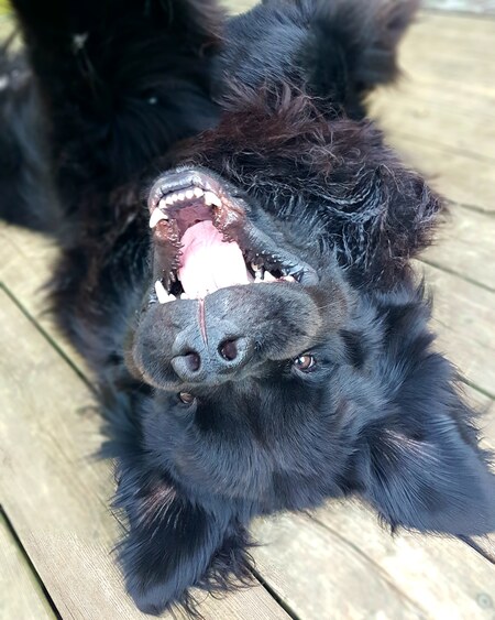 Odin