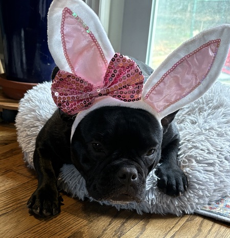Lola
