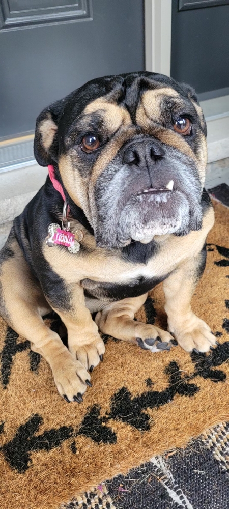 Fiona