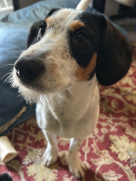 Ezra