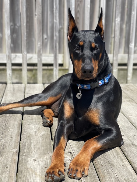 Pablo