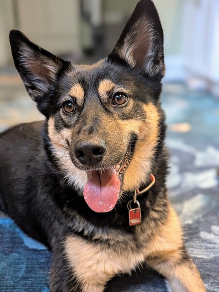 Chloe