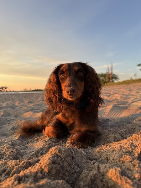 Winston
