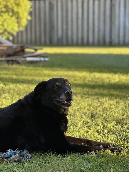 Cooper