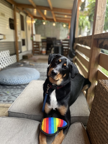 Benito
