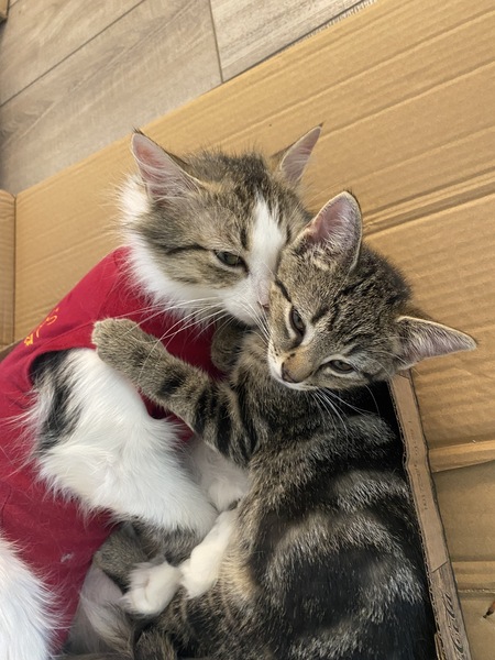 Sierra and Molly