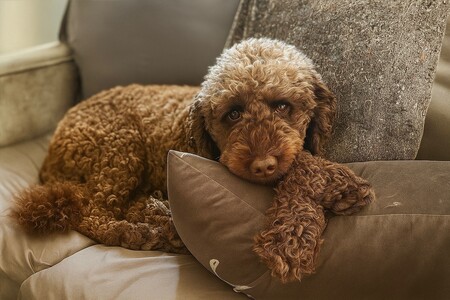 Charlie