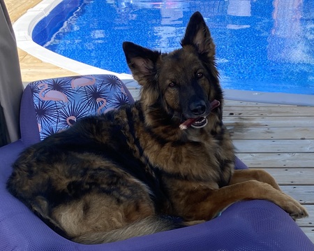 Max
