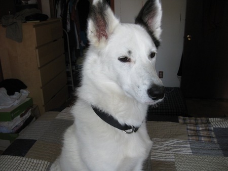 Jack