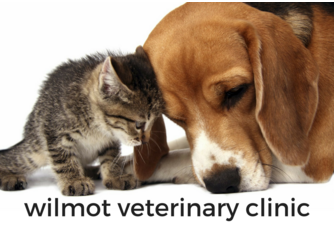 Wilmot Veterinary Clinic