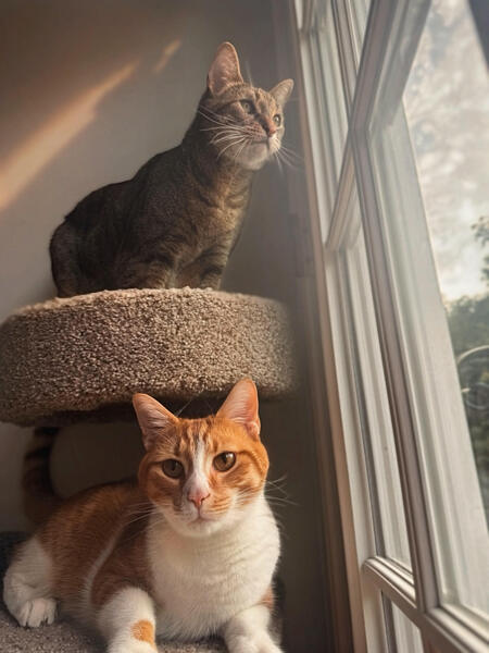 Wilson & Kinje