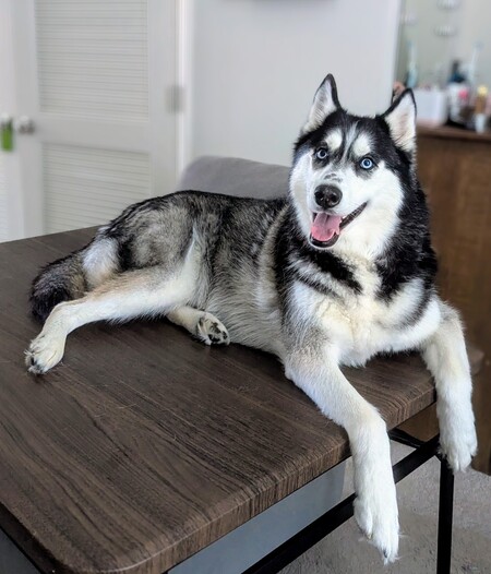 Jax