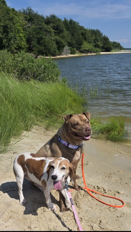 Hazie & Annabelle