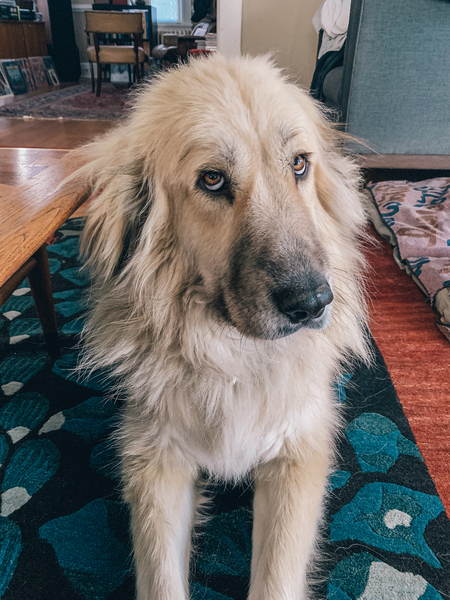 Max