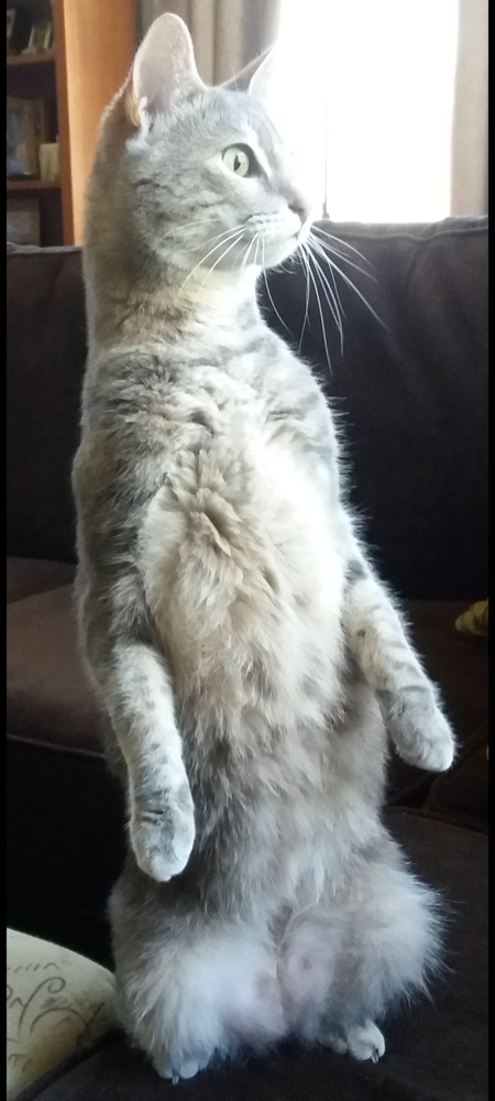 Chloe 
