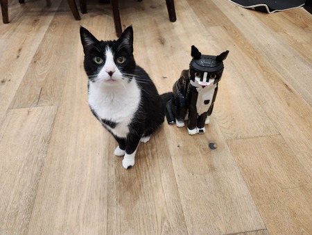 Pixel