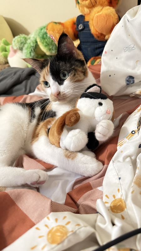 Pebbles