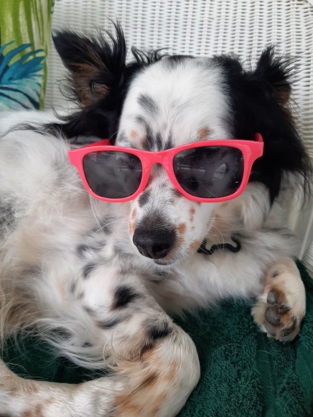 Benjie