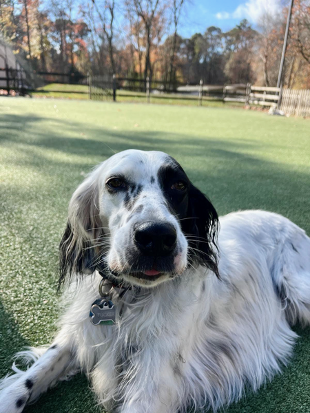 Tucker