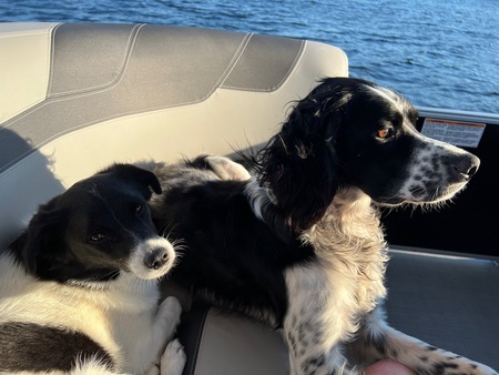 Mythos & Loxley