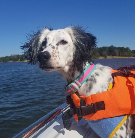 Nora