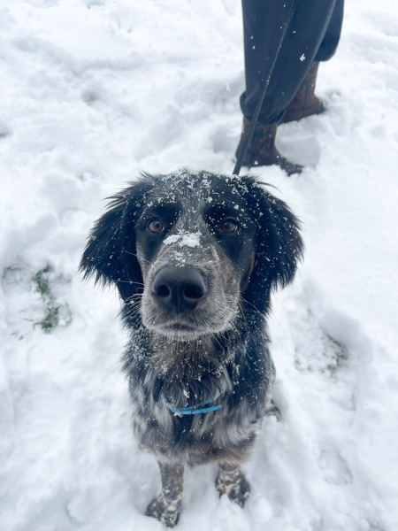 Max