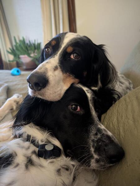 Lucy and Hannah