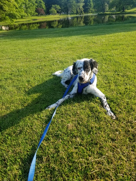 Jax