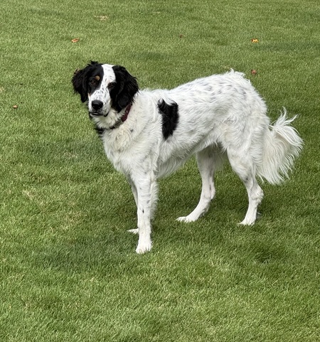 Esther