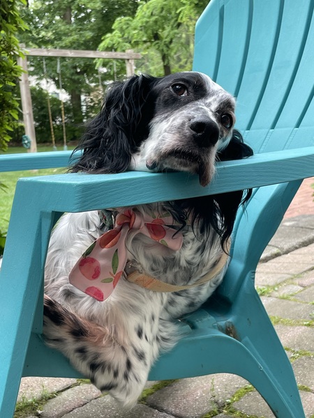Molly 