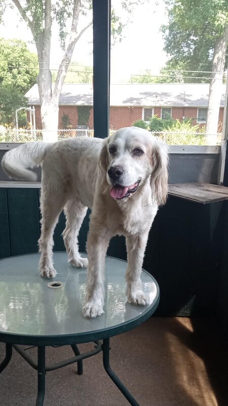 Marley