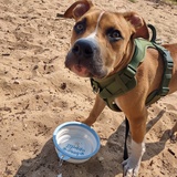 Entry image for Milo