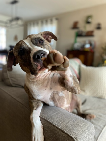Kita