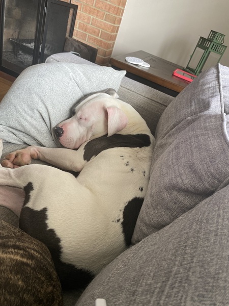 Tyson