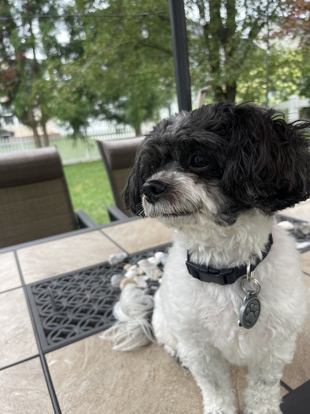 Charlie
