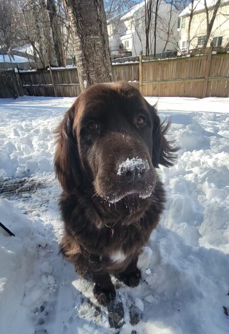 Ellie AKA Allie