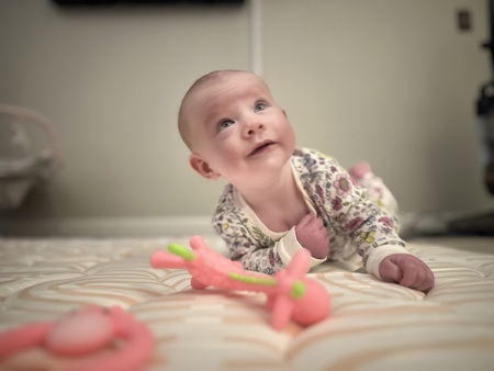 Entry image for Aria Rose Brooks . Clicking this image will show a larger photo