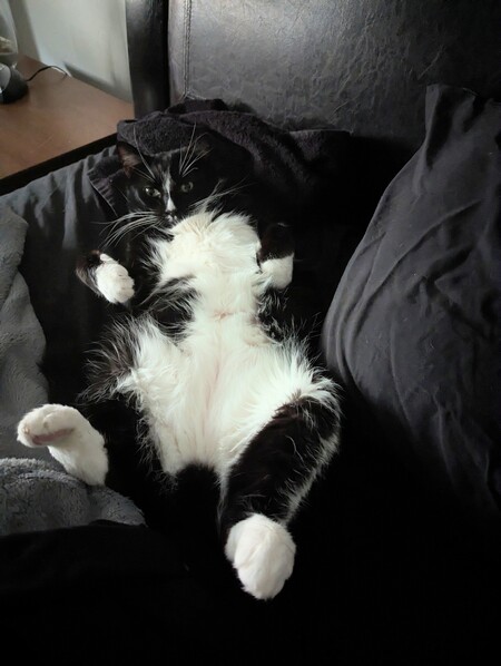 Fatty