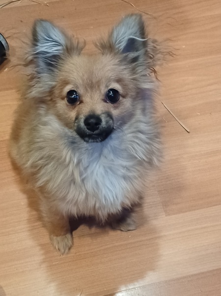 Yuki
