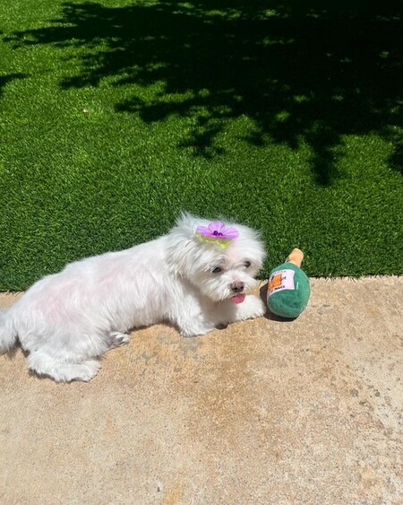 Roxy