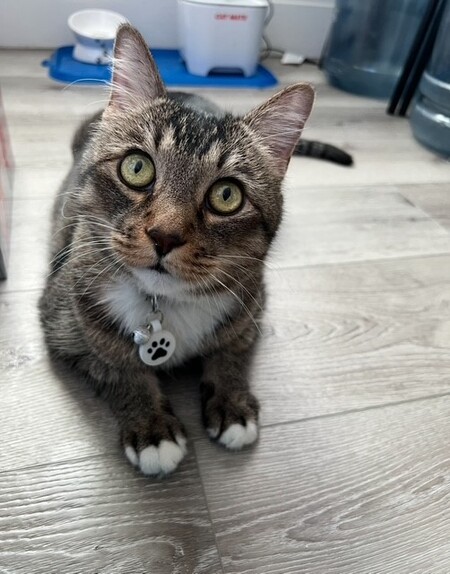 Theo