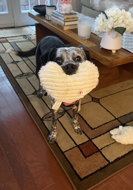 Speckles “Specks”